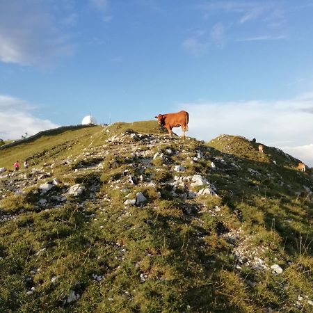 Cahute De Montagne Pour Profiter Du Haut Jura Prémanon Esterno foto