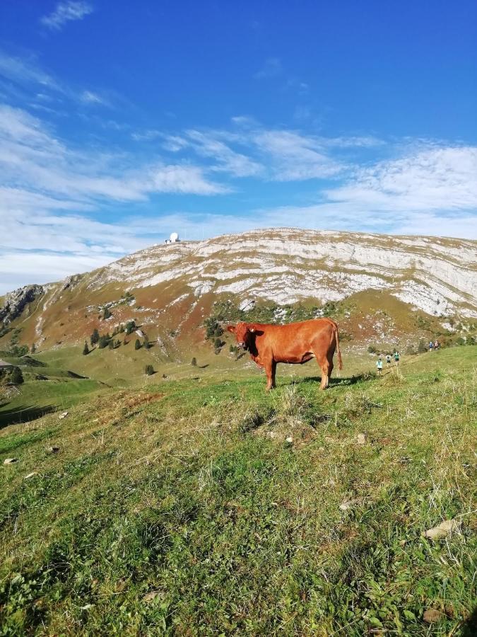 Cahute De Montagne Pour Profiter Du Haut Jura Prémanon Esterno foto